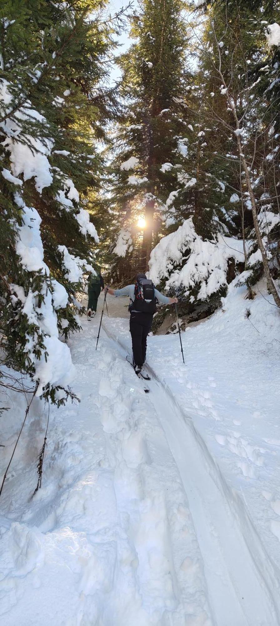 Traumapartment Murmeltier Tirol Grins المظهر الخارجي الصورة