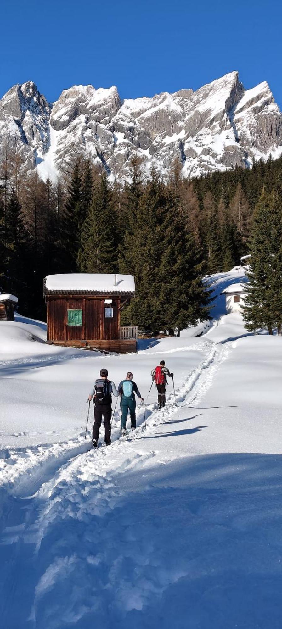 Traumapartment Murmeltier Tirol Grins المظهر الخارجي الصورة